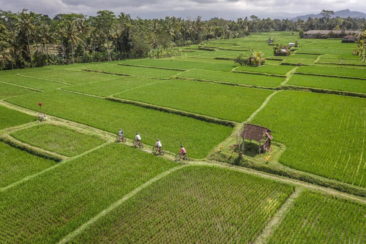 Four Seasons Resort Bali At Sayan Ubud  Luaran gambar