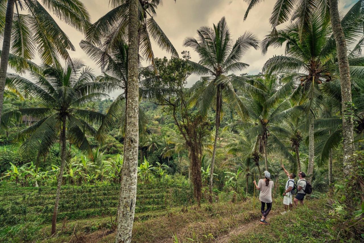 Four Seasons Resort Bali At Sayan Ubud  Luaran gambar